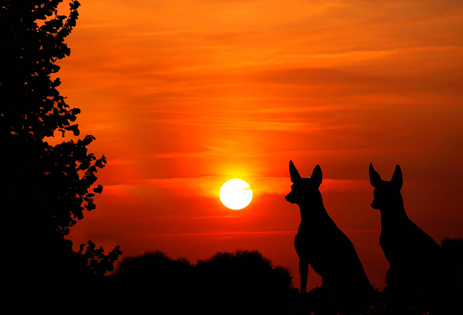 Gemeinsam den Sonnenuntergang genießen