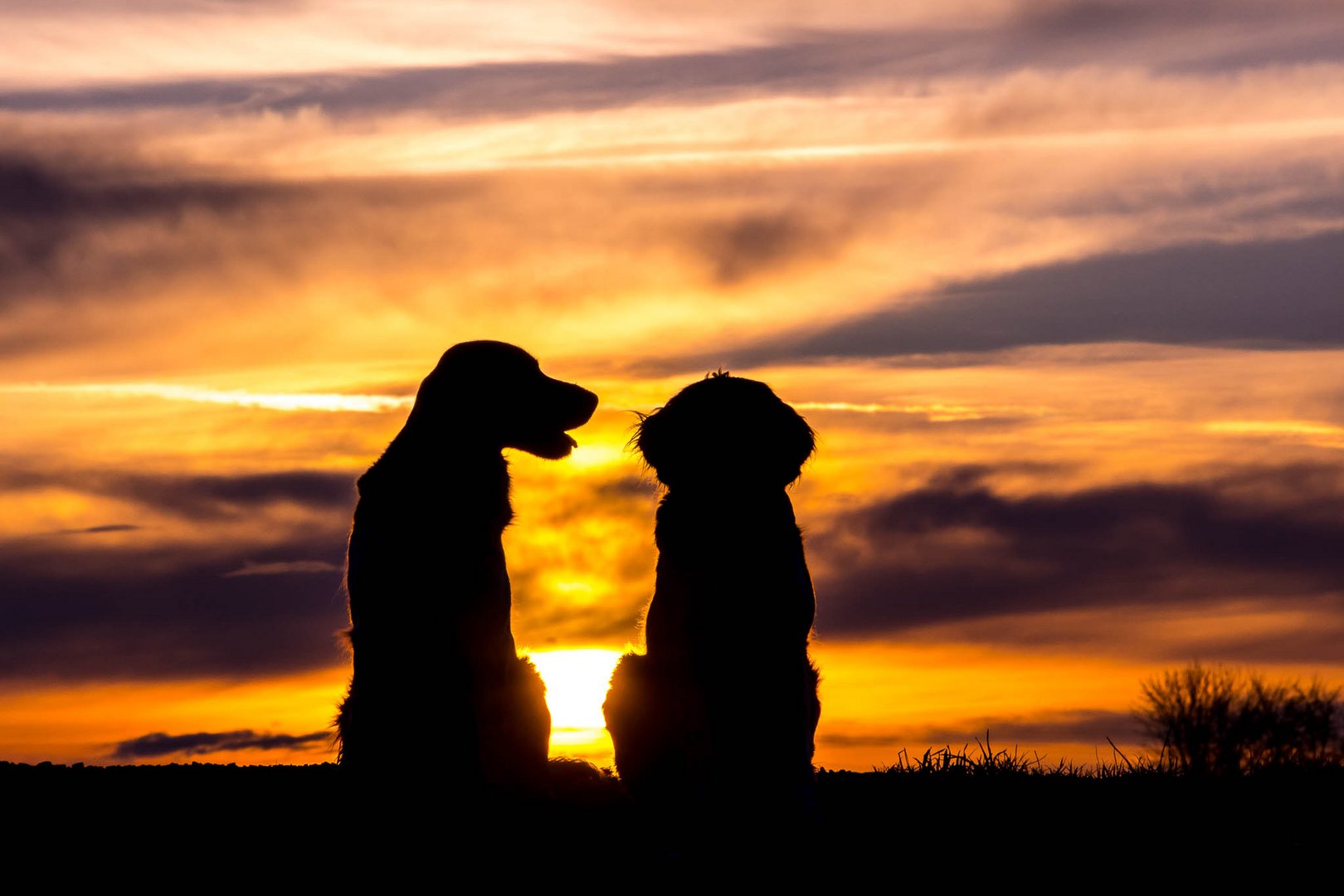 Gemeinsam den Sonnenuntergang genießen&hellip; Foto &amp; Bild sonnenuntergang