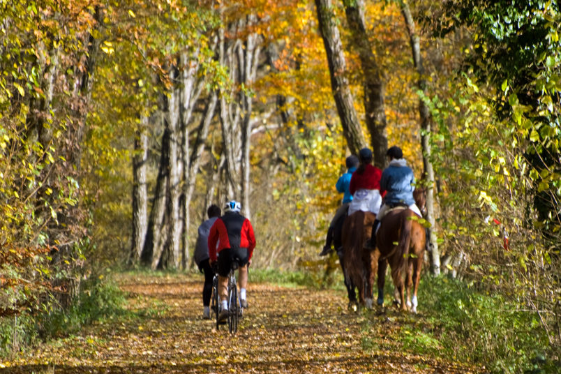 Gemeinsam die Natur im Herbst genießen