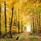 gemeinsam durch den Herbst