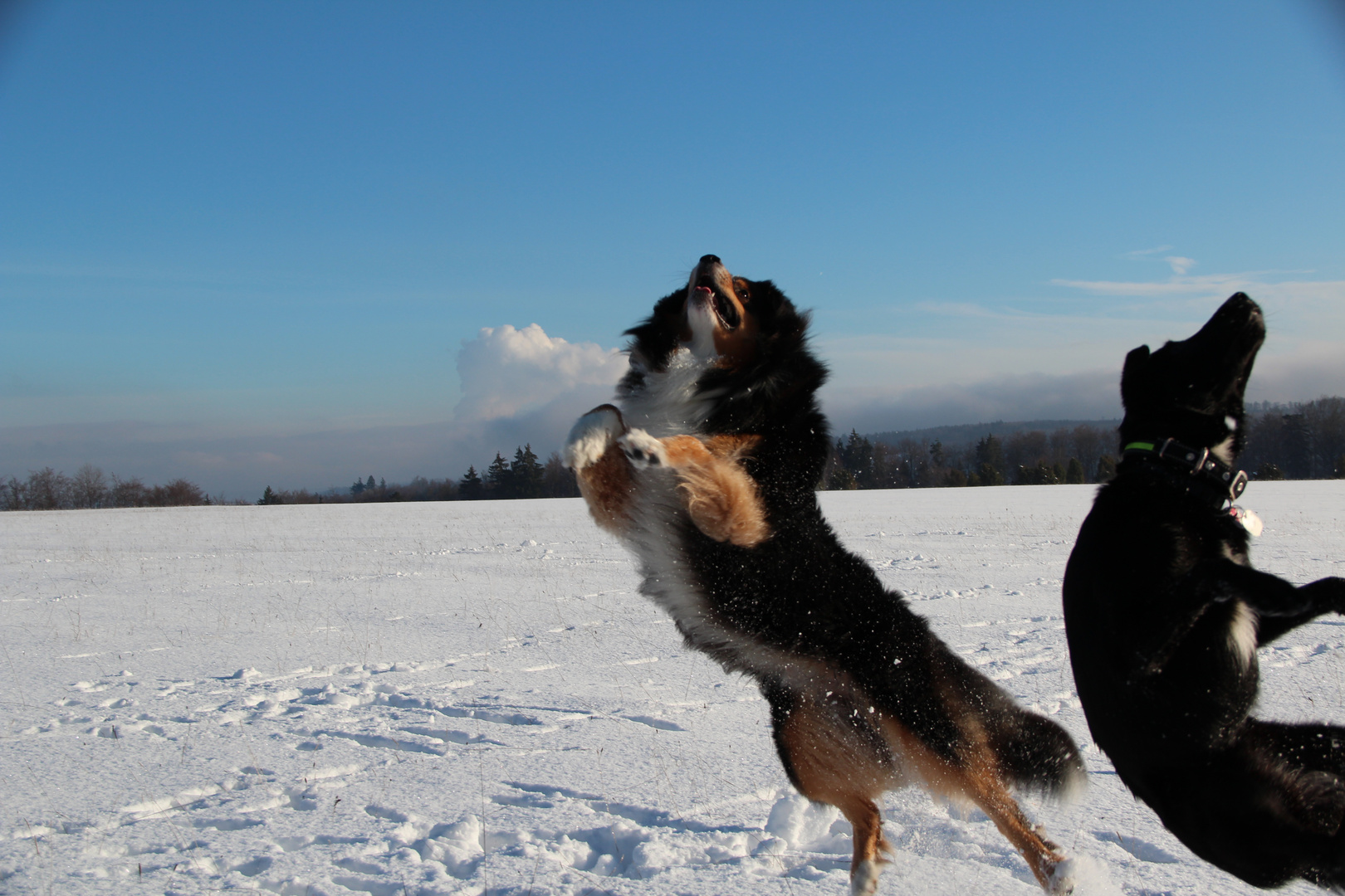 Gemeinsam fangen wir den Ball