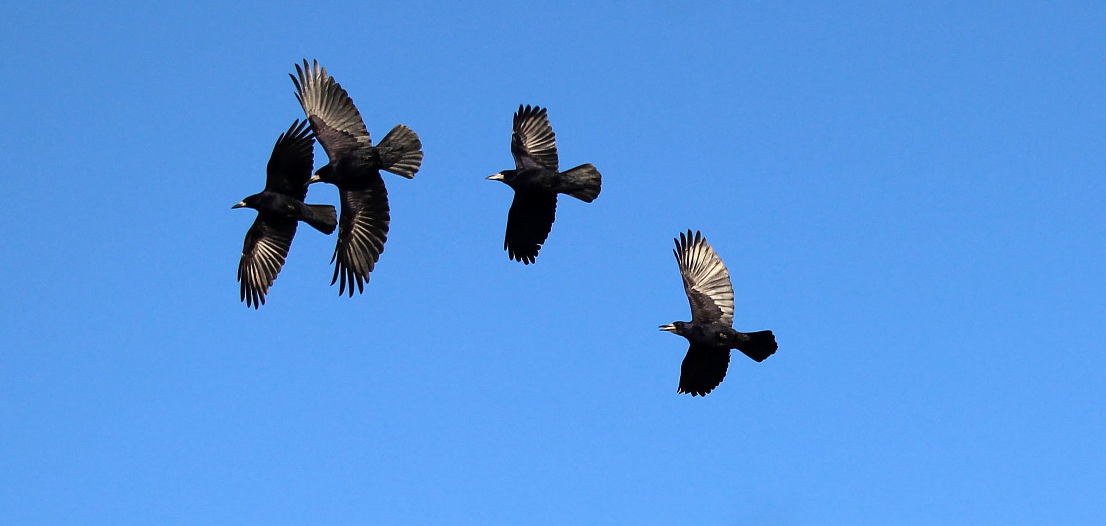 Gemeinsam fliegen