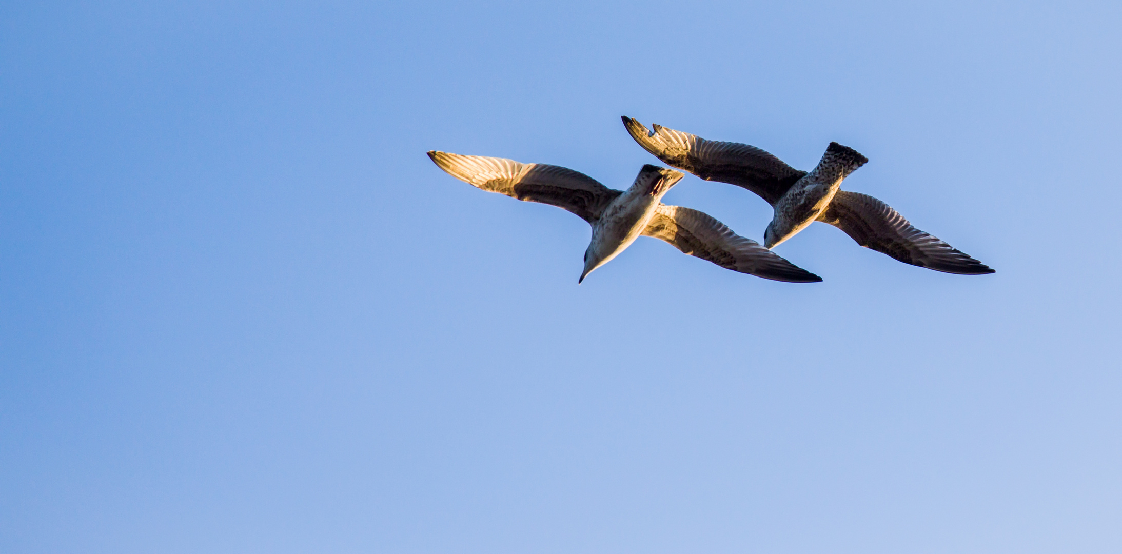 Gemeinsam fliegen