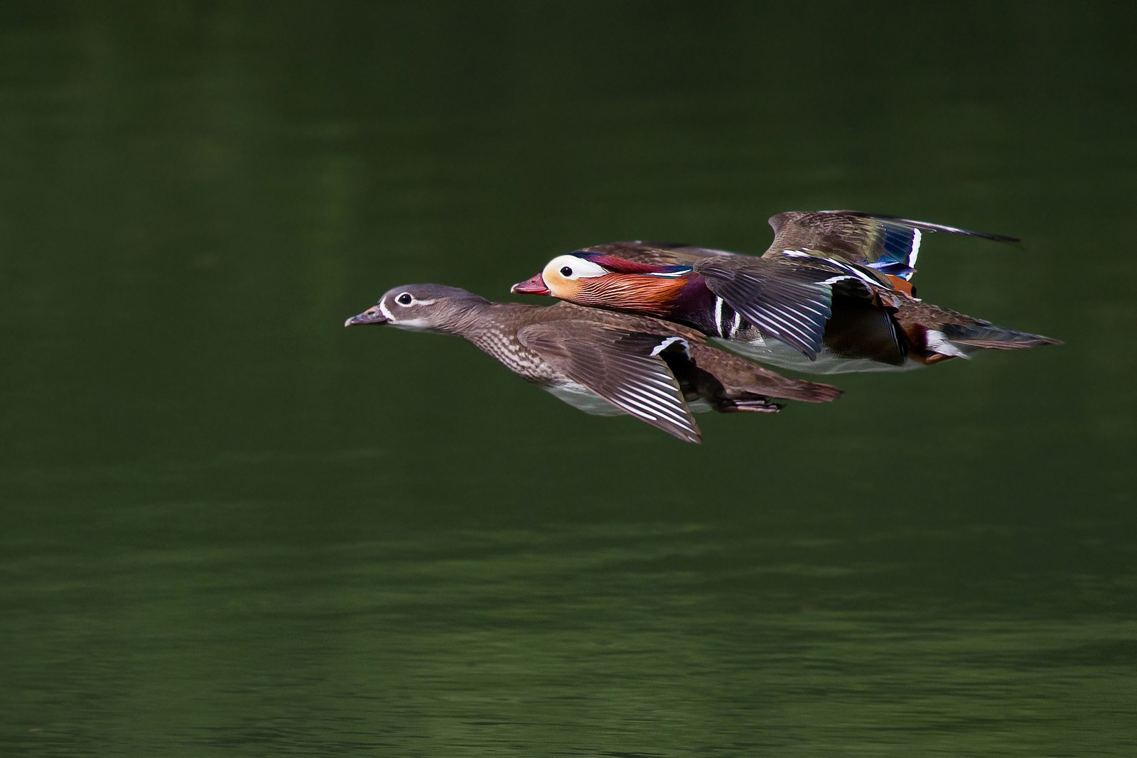 gemeinsam fliegen ist schöner