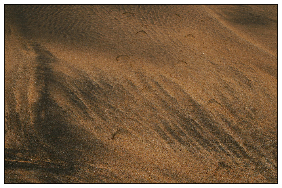 ...gemeinsam gehen am Strand....