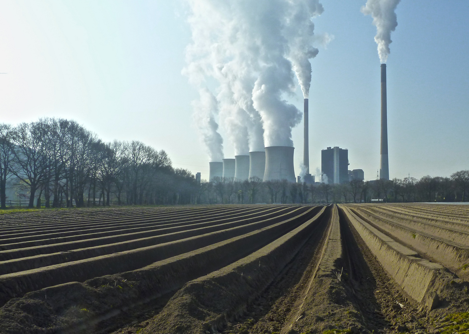 Gemeinsam geht´s uns gut: Landwirtschaft & Energie