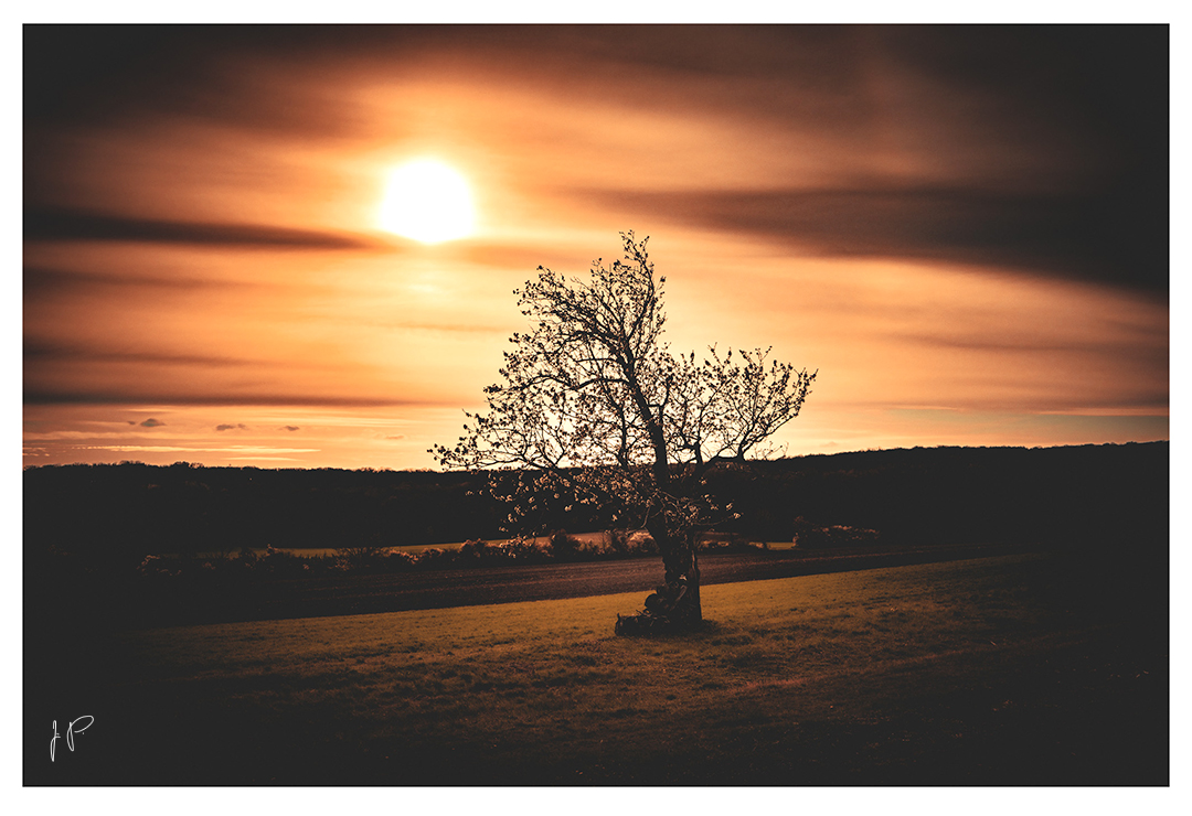 Gemeinsam im Abendrot 