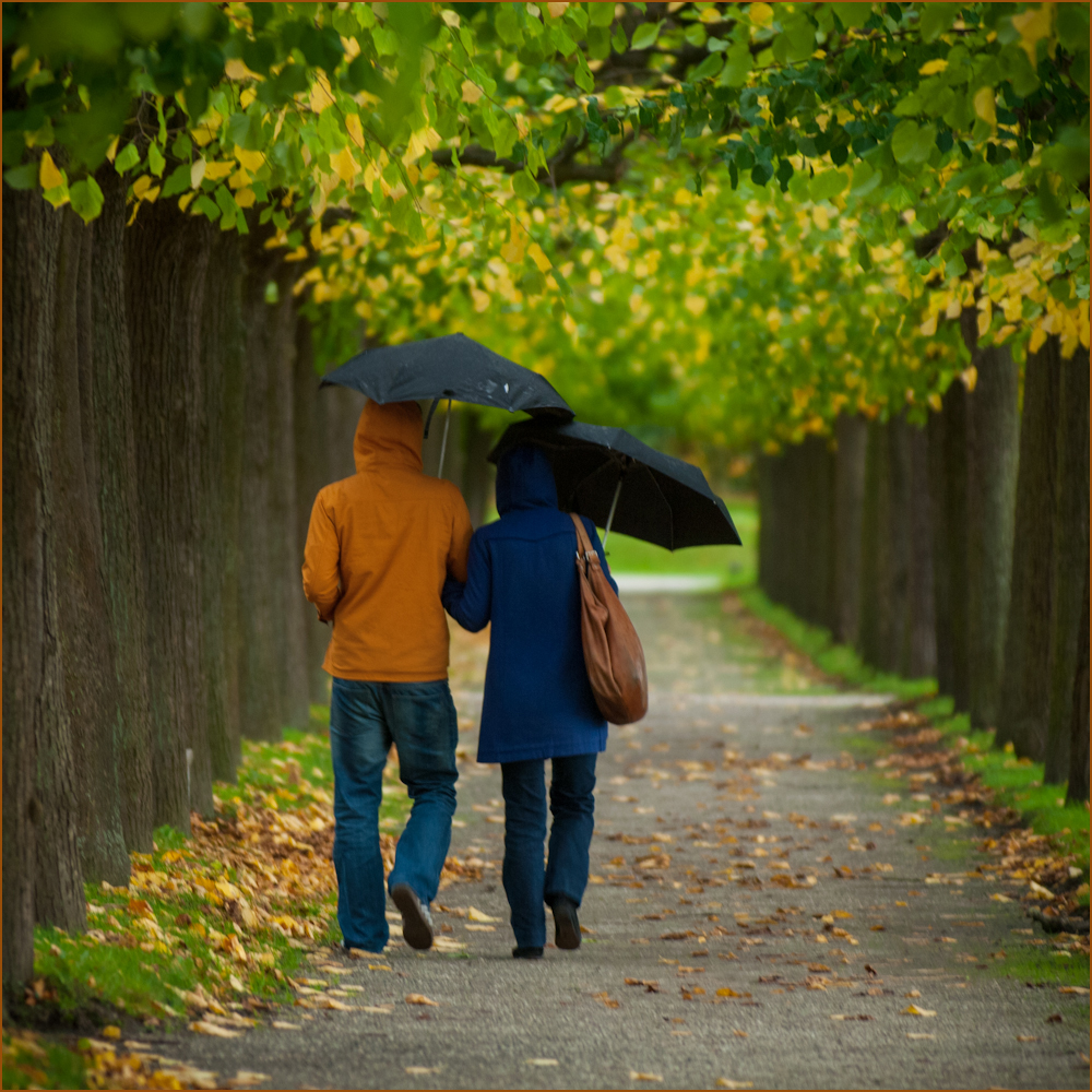 gemeinsam im Regen