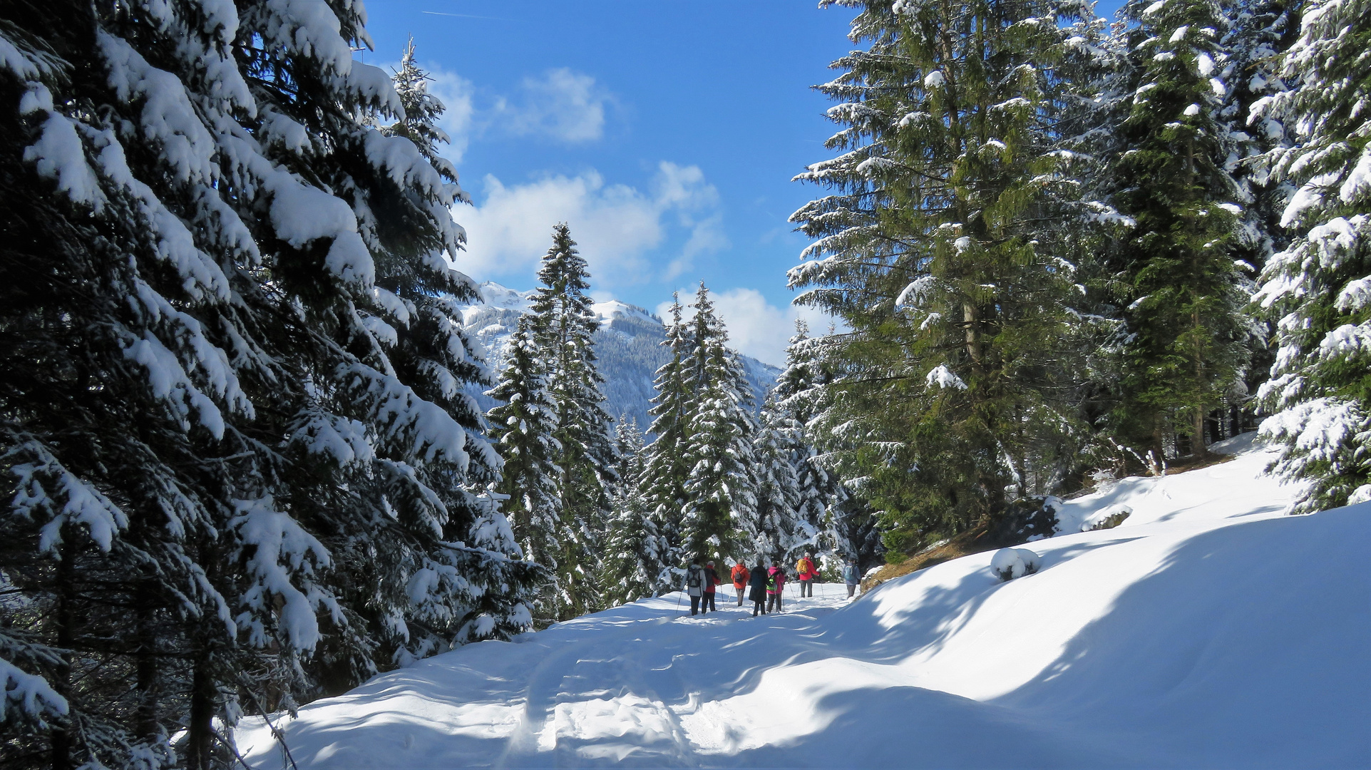 Gemeinsam im WinterWonderLand.