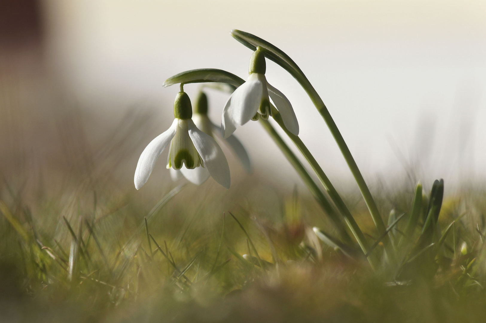 gemeinsam in den Frühling