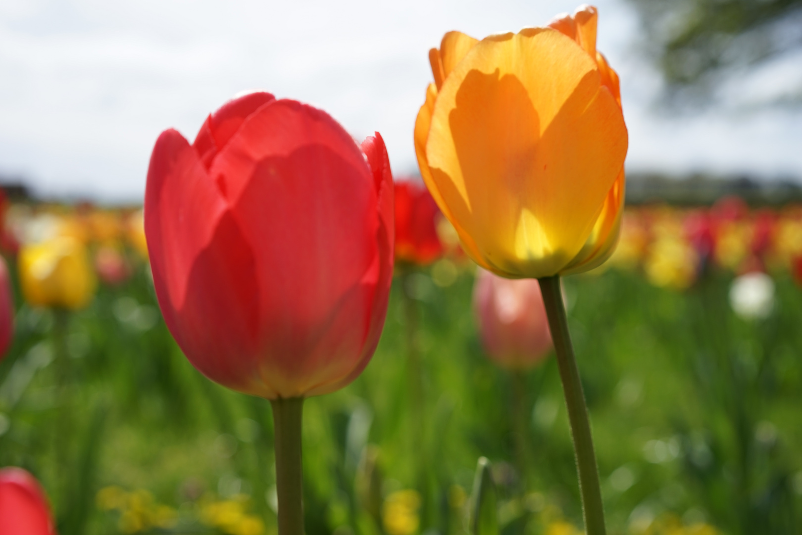 Gemeinsam in den Frühling