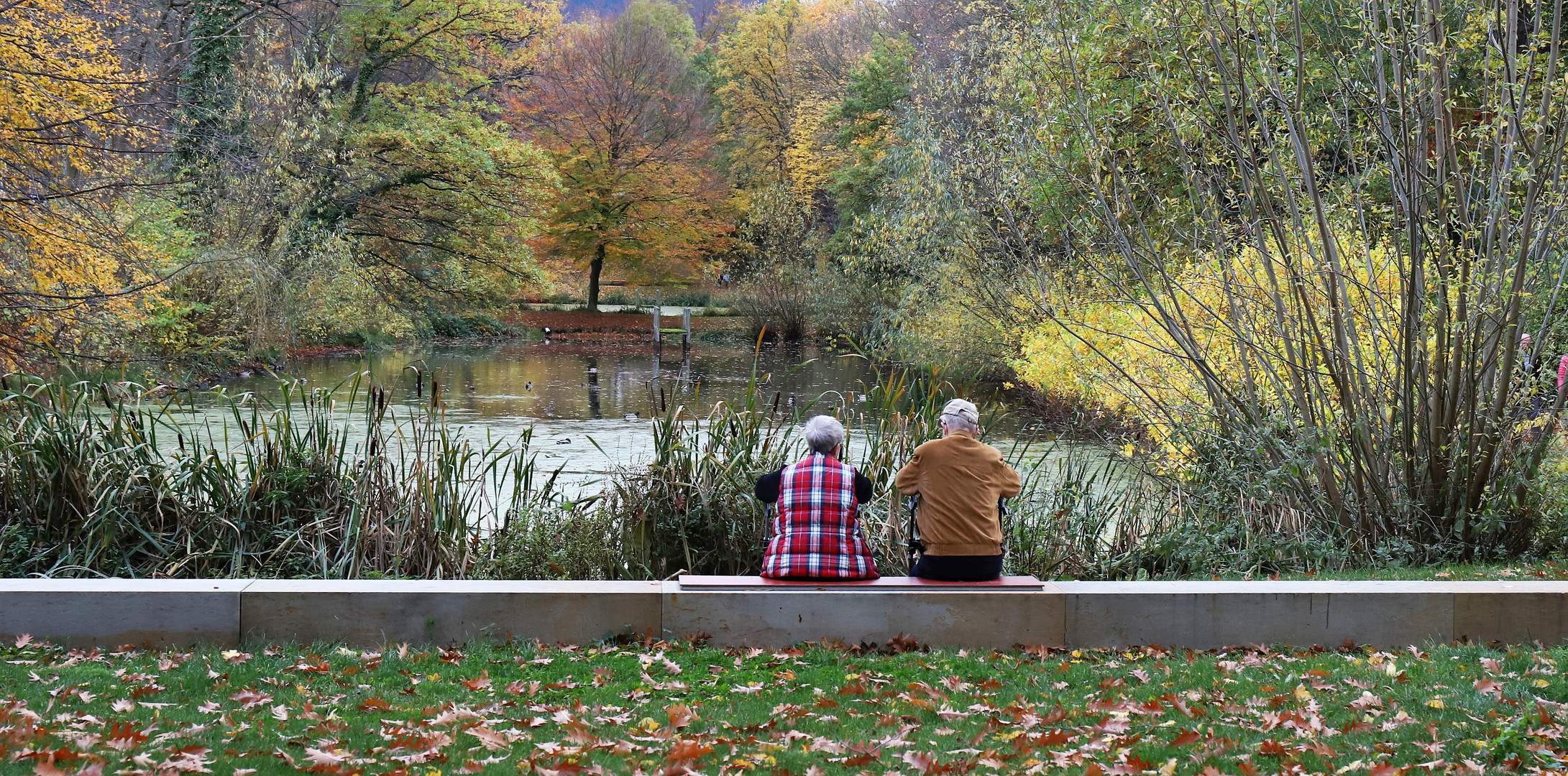 # Gemeinsam in Ruhe den Herbst beobachten 