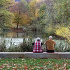 # Gemeinsam in Ruhe den Herbst beobachten 