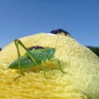 Gemeinsam nach vorne schauen