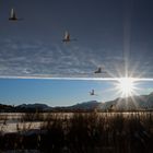 gemeinsam Richtung Sonne