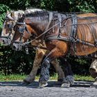 Gemeinsam sind wir stärker; hier arbeiten zwei PS!