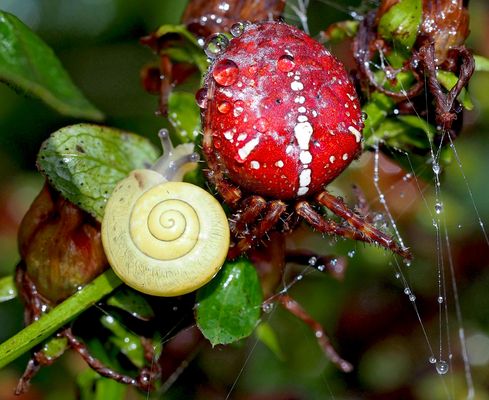 Gemeinsam sind wir stark?