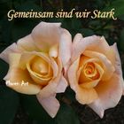 Gemeinsam sind wir stark