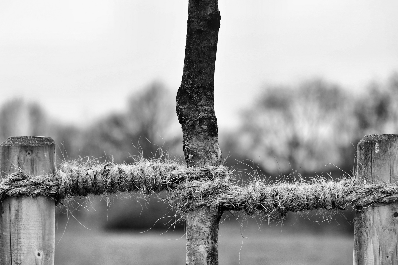 Gemeinsam sind wir stark ...