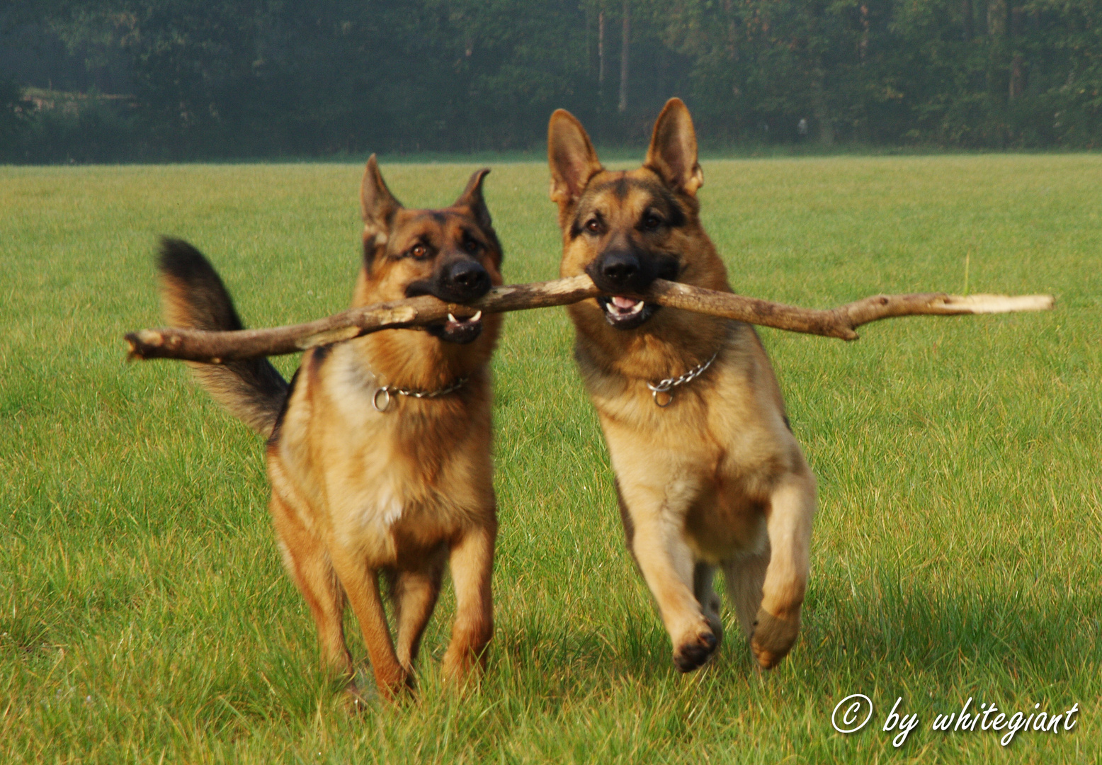 Gemeinsam sind wir stark!