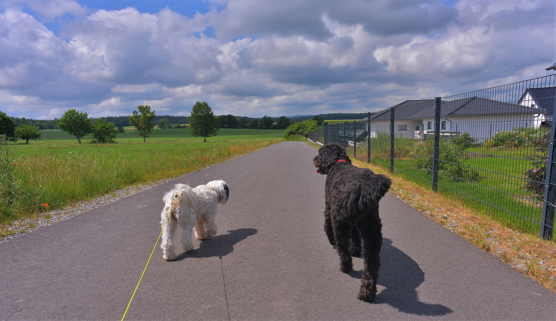 gemeinsam spazieen gehen (paseando juntos)