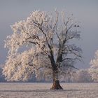 ...Gemeinsam... statt Einsam