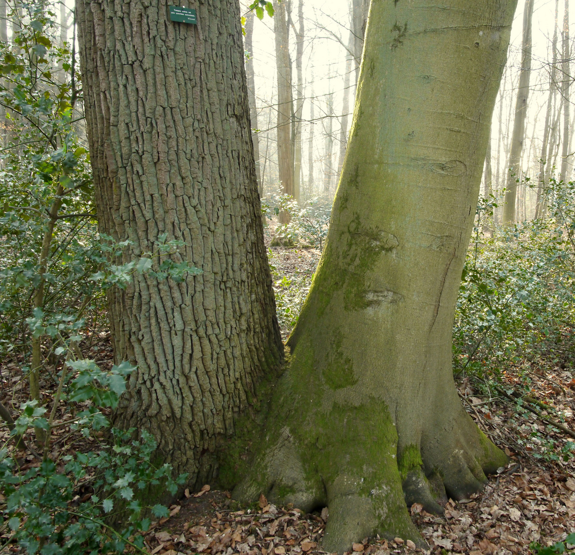 Gemeinsam stehen.