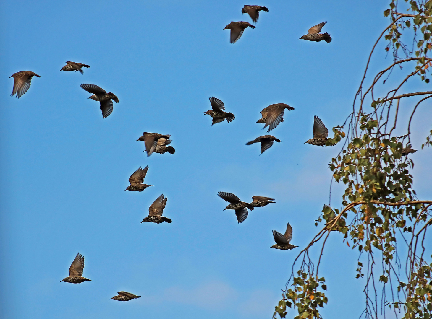 Gemeinsam weiter fliegen