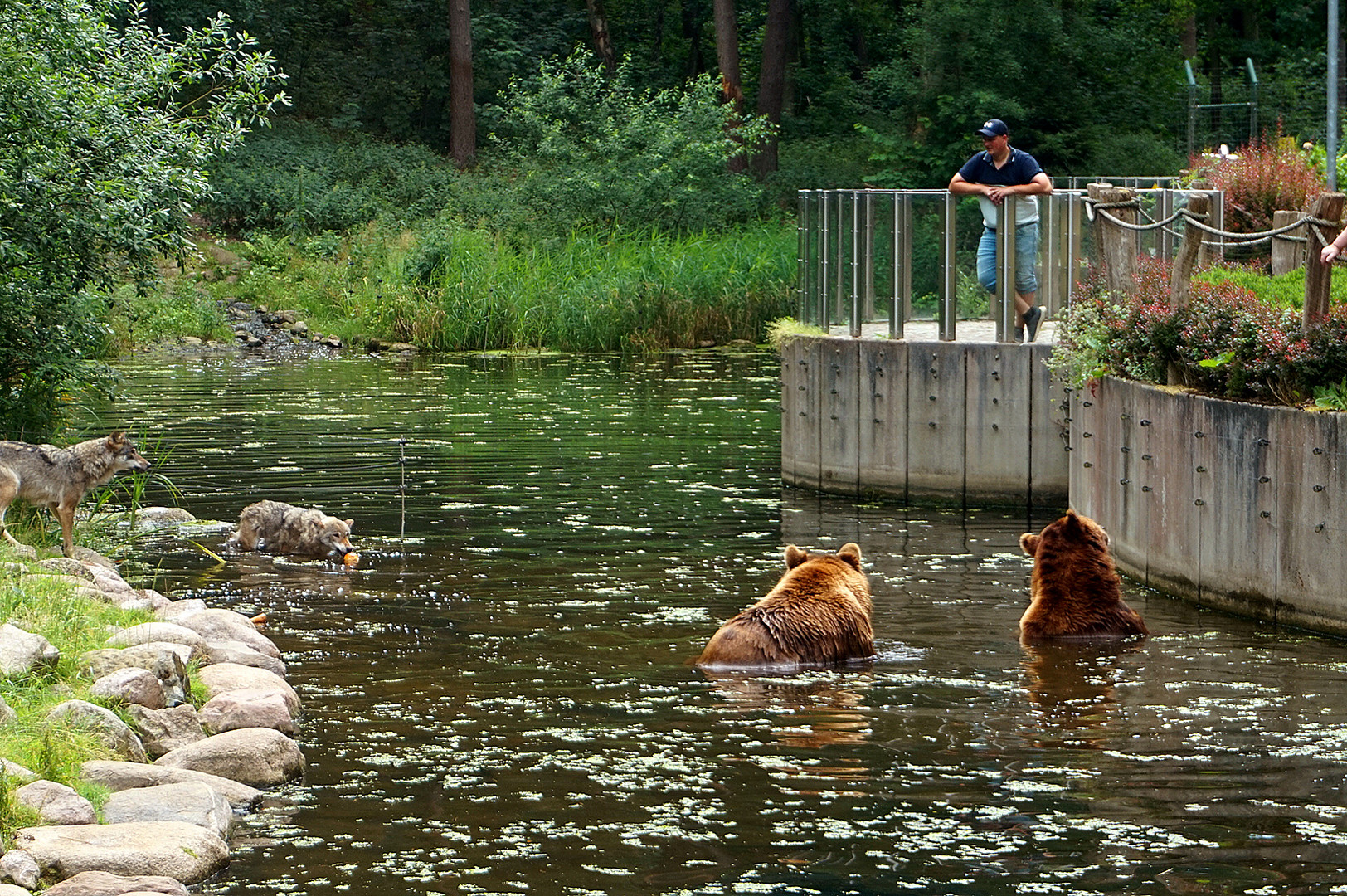 Gemeinsame Fütterung