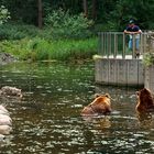 Gemeinsame Fütterung