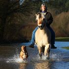 gemeinsamer Spass im Hochwasser