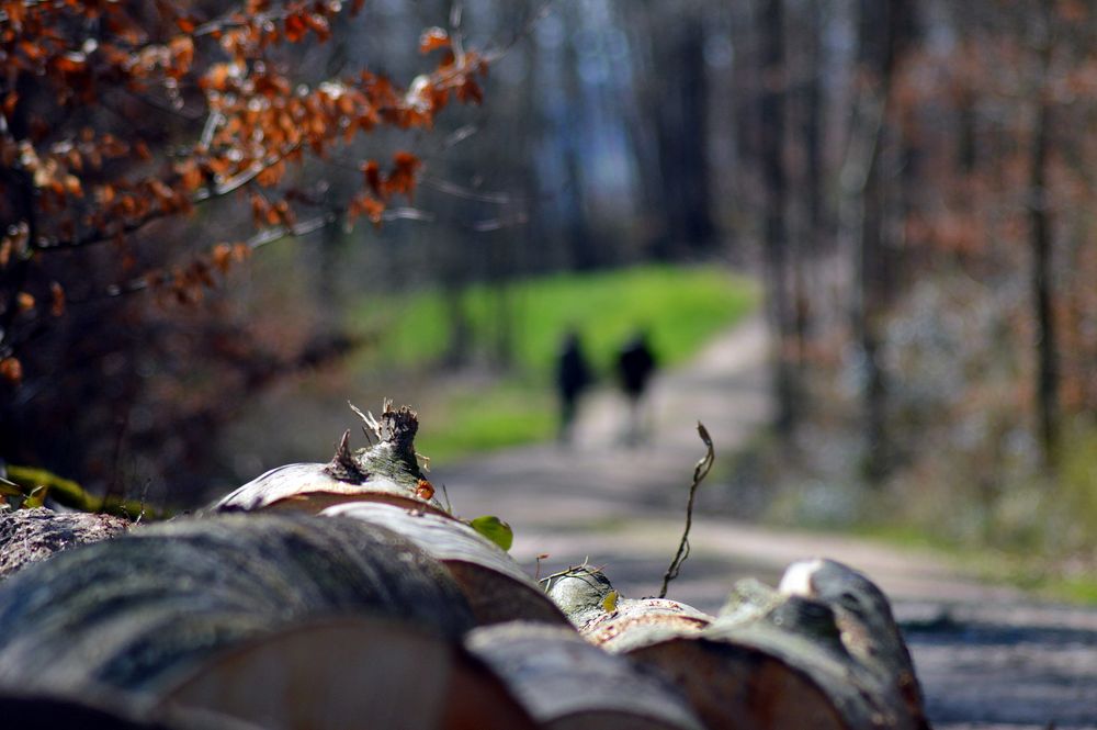 ~~~ Gemeinsamer Spaziergang ~~~