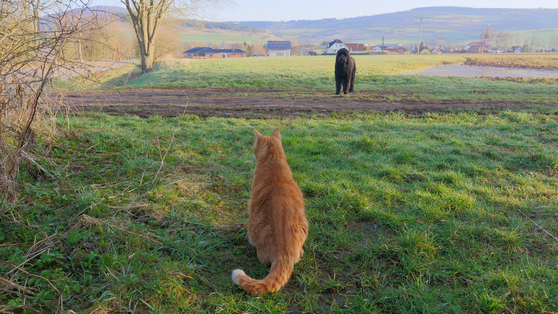 gemeinsamer Spaziergang (paseo común)