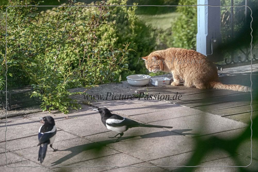 "Gemeinsames Frühstücken "