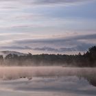 Gemeinsames Morgenschwimmen.