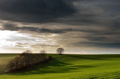 Gemeinschafts-bildtitel: siehe Anmerkungen