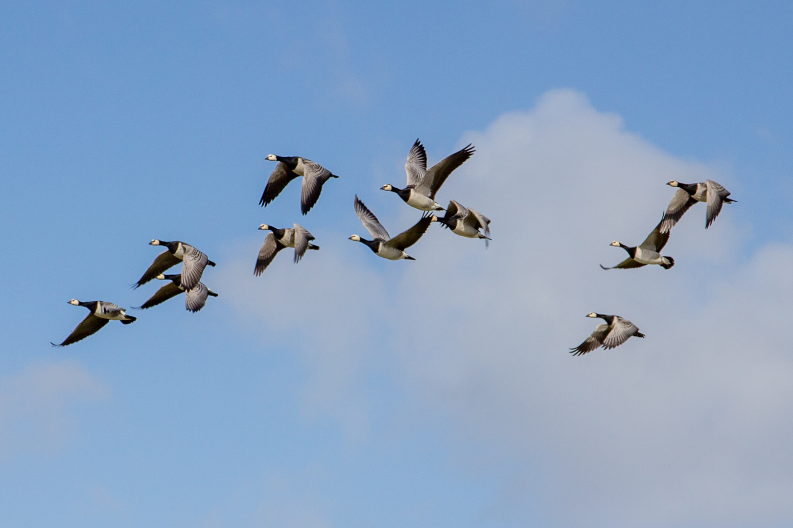 Gemeinschaftsausflug