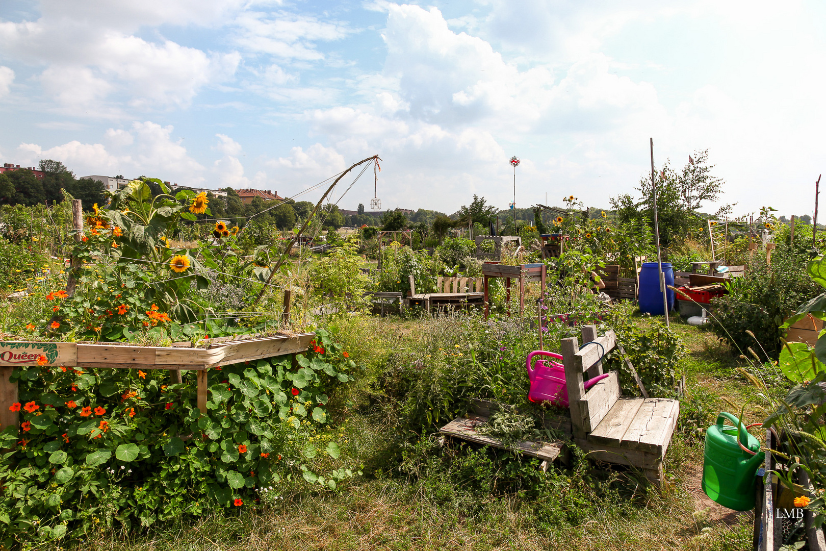 Gemeinschaftsgarten Allmende-Kontor