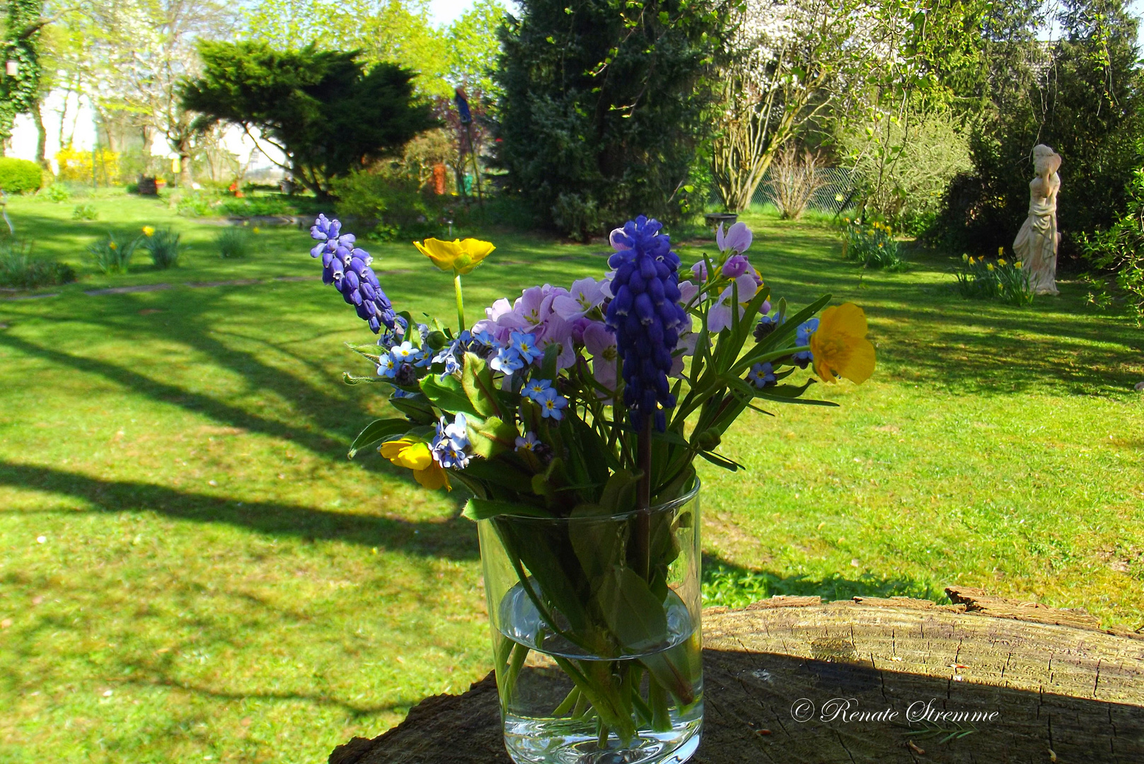 Gemischte Blumen vom Wegesrand