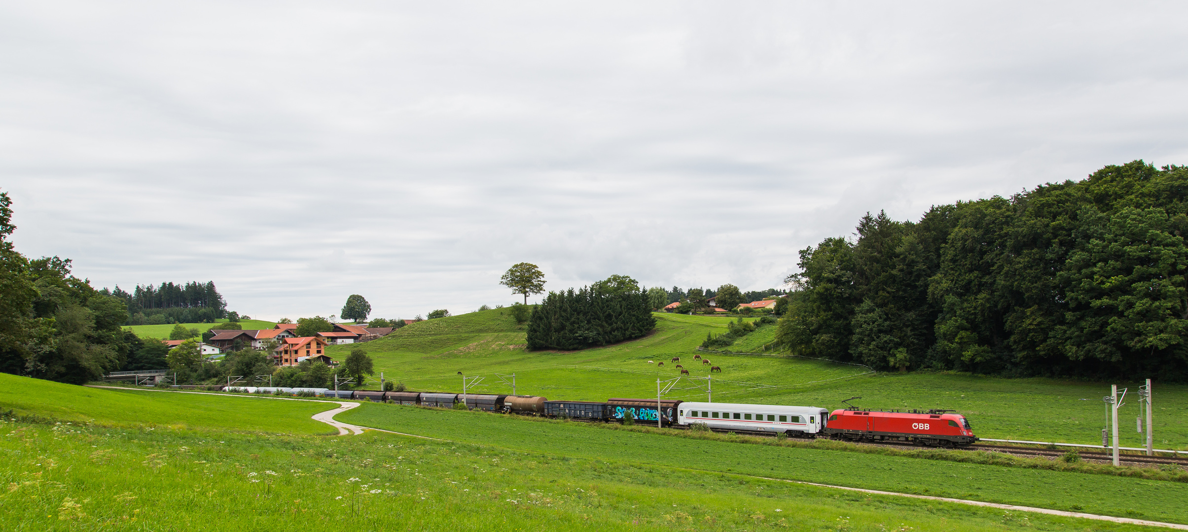 Gemischter Güterzug