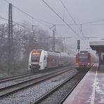 Gemischtes Doppel im Nebel