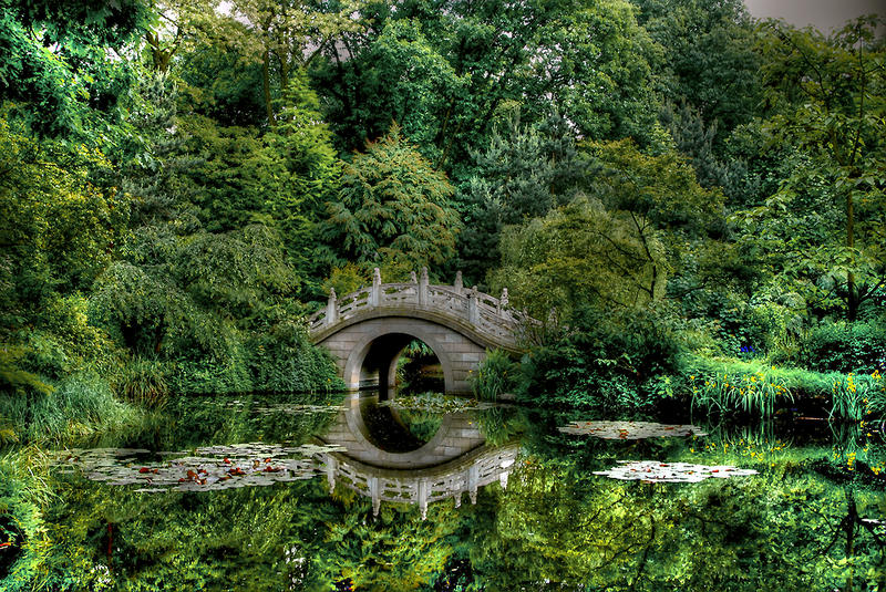 gemischtes Grün mit Brücke