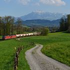 Gemischtes unter der Rigi