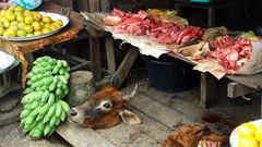 Gemischtwaren in Laos