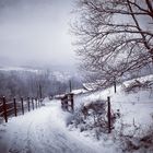 Gemünd 2013 - Schlittenspuren im Schnee