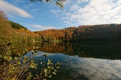 Gemünderner Maar, Eifel