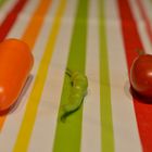 Gemüse der Saison auf Tischdecke