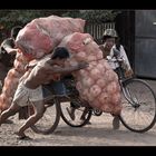 Gemüse-Transport in Myanmar