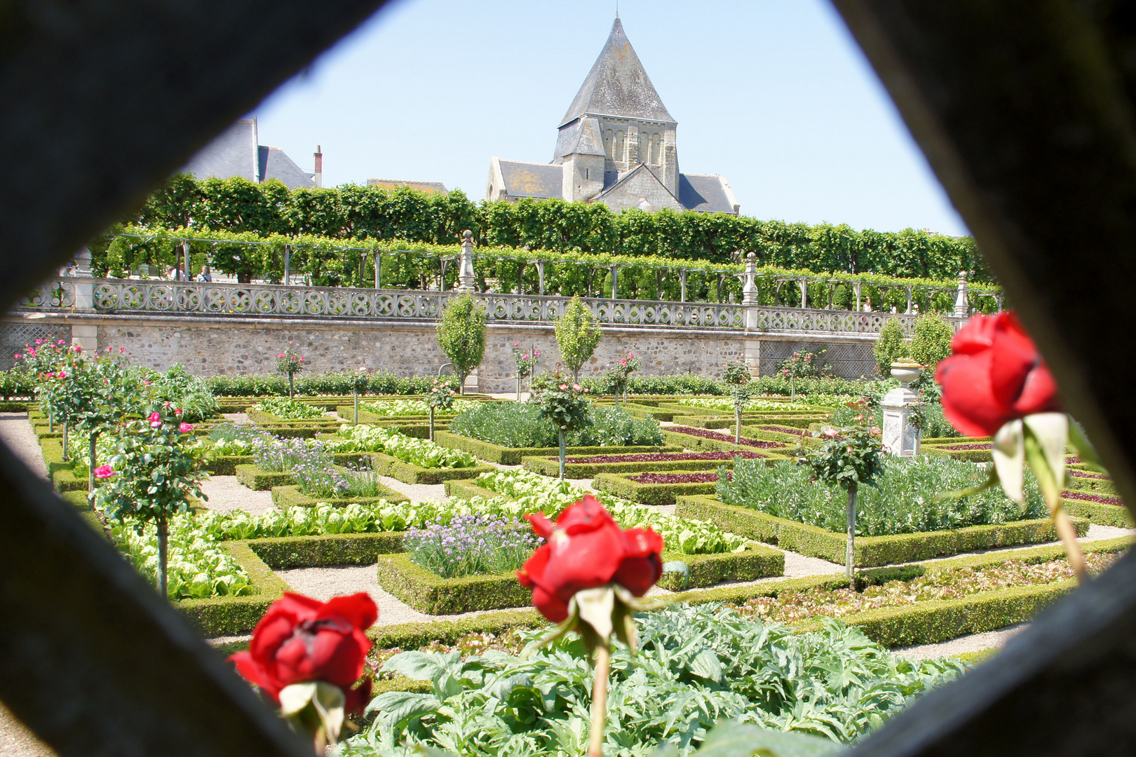 Gemüse-Ziergarten in Villandry