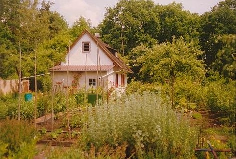 Gemüsegarten